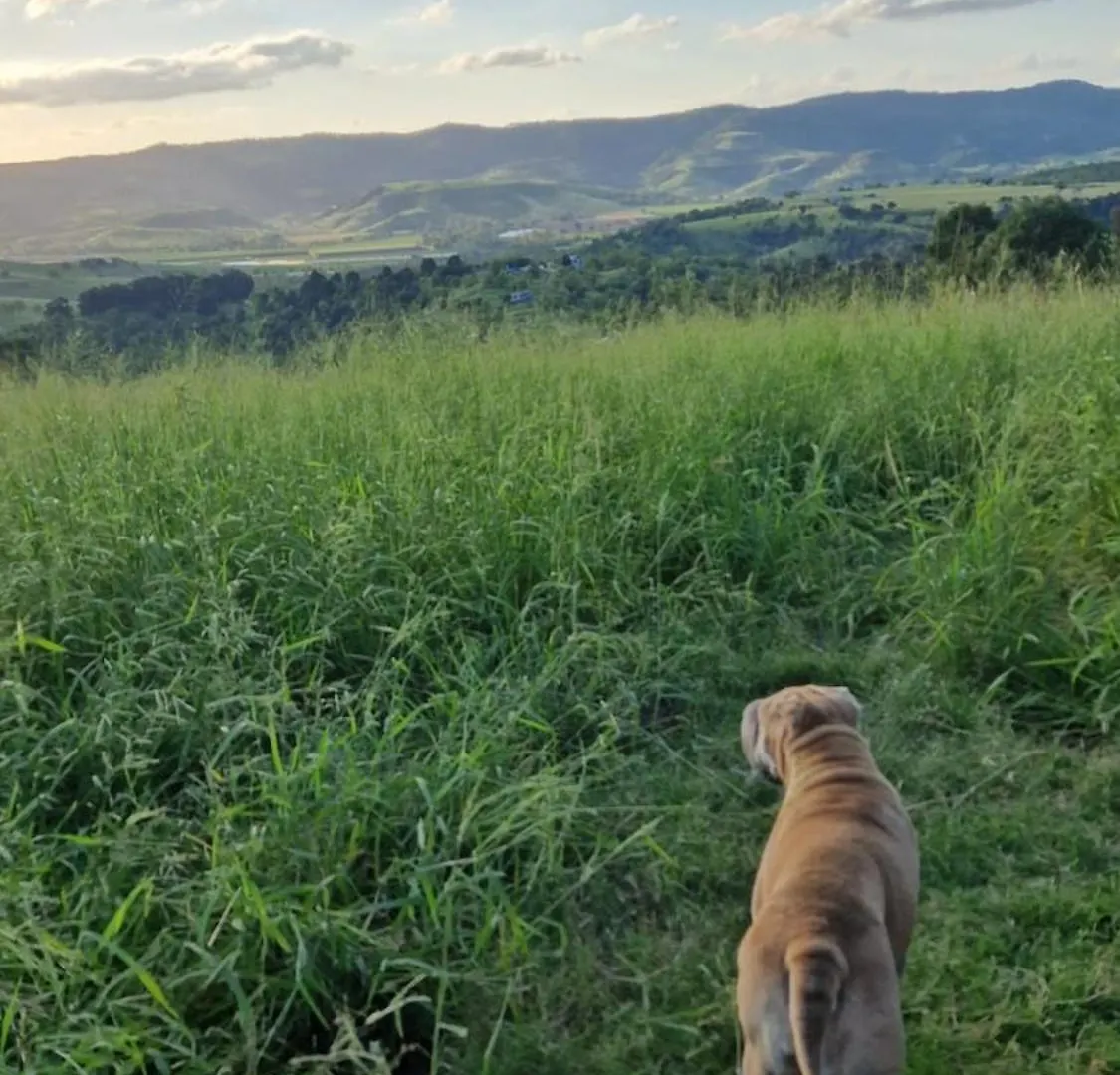 Echoes In The Valley Ingoldsby